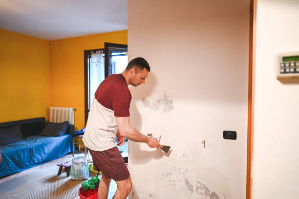 Professional Mold Removal in Greencastle, PA